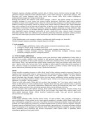 Strateginio valdymo esminės temos 5 puslapis