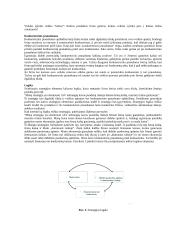 Strateginio valdymo esminės temos 6 puslapis