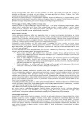 Strateginio valdymo esminės temos 7 puslapis