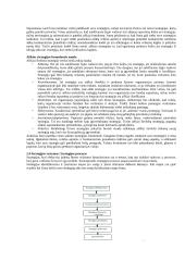 Strateginio valdymo esminės temos 8 puslapis