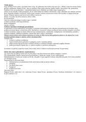 Sveikatos technologijos 4 puslapis