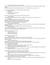 Tarptautinių finansų teorija egzaminui 5 puslapis