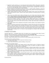 Tarptautinių finansų teorija egzaminui 7 puslapis