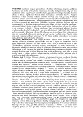 Tarptautinis protokolas - paskaitų medžiaga