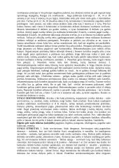 Tarptautinis protokolas - paskaitų medžiaga 3 puslapis