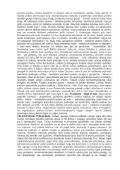 Tarptautinis protokolas - paskaitų medžiaga 4 puslapis