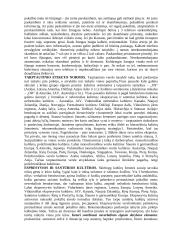 Tarptautinis protokolas - paskaitų medžiaga 5 puslapis