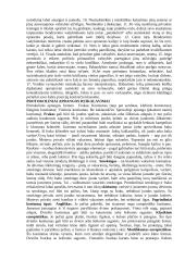 Tarptautinis protokolas - paskaitų medžiaga 7 puslapis