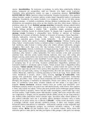 Tarptautinis protokolas - paskaitų medžiaga 8 puslapis