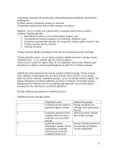 Teisinis reguliavimas ir metodai 13 puslapis