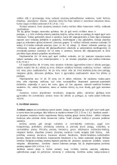 Teisės pagrindai ir teisė Lietuvoje 5 puslapis