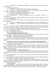 Teisės teorijos mokslas 11 puslapis