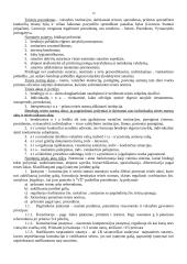 Teisės teorijos mokslas 12 puslapis