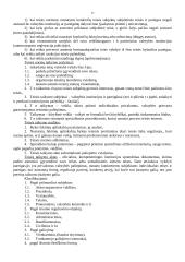 Teisės teorijos mokslas 17 puslapis