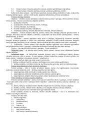 Teisės teorijos mokslas 19 puslapis