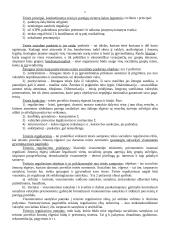 Teisės teorijos mokslas 5 puslapis