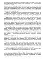 Trys teisės ontologiniai lygmenys ir jų tarpusavio sąveika 2 puslapis