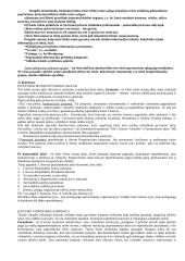 Trys teisės ontologiniai lygmenys ir jų tarpusavio sąveika 13 puslapis