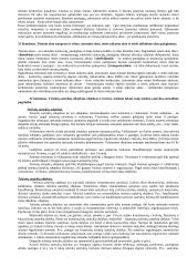 Trys teisės ontologiniai lygmenys ir jų tarpusavio sąveika 19 puslapis