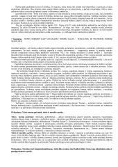 Trys teisės ontologiniai lygmenys ir jų tarpusavio sąveika 4 puslapis