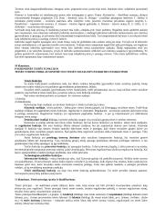 Trys teisės ontologiniai lygmenys ir jų tarpusavio sąveika 5 puslapis