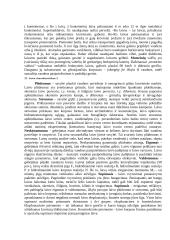 Transporto priemonių teorija 12 puslapis