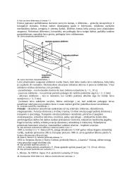 Transporto priemonių teorija 13 puslapis