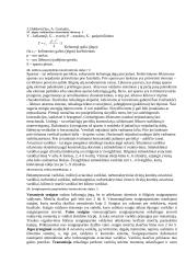 Transporto priemonių teorija 14 puslapis