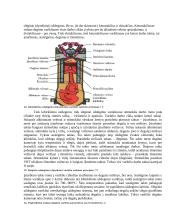 Transporto priemonių teorija 4 puslapis