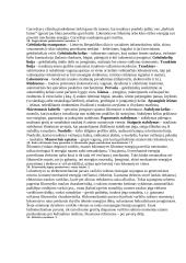 Transporto priemonių teorija 9 puslapis