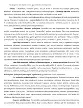 Valstybės ekonominės politikos pagrindai 15 puslapis