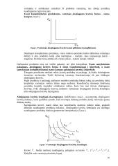 Vartotojo elgsena. Produkto naudingumo teorija 16 puslapis