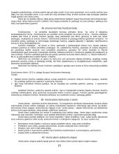 Verslo studijų įvado klausimai 15 puslapis