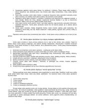 Verslo studijų įvado klausimai 16 puslapis