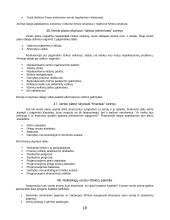 Verslo studijų įvado klausimai 18 puslapis