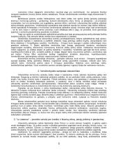 Verslo studijų įvado klausimai 3 puslapis