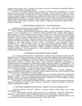 Verslo studijų įvado klausimai 4 puslapis