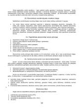 Verslo studijų įvado klausimai 10 puslapis