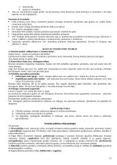 Viešojo administravimo lyginamoji analizė 15 puslapis