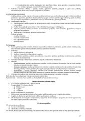 Viešojo administravimo lyginamoji analizė 17 puslapis