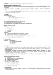 Viešojo administravimo lyginamoji analizė 3 puslapis