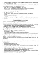 Viešojo administravimo lyginamoji analizė 4 puslapis