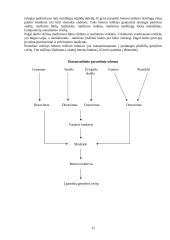 Gelžbetoninių perdangos plokščių gamybos technologija 10 puslapis