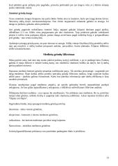 Medinių grindų tipai 13 puslapis