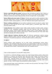 Medinių grindų tipai 15 puslapis