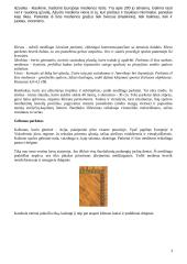 Medinių grindų tipai 3 puslapis