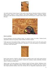 Medinių grindų tipai 4 puslapis