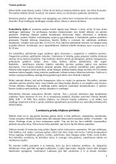 Medinių grindų tipai 6 puslapis