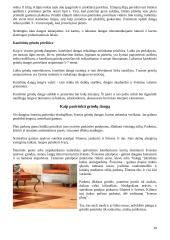 Medinių grindų tipai 10 puslapis