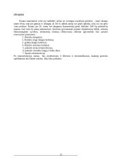 Statybos procesai 11 puslapis